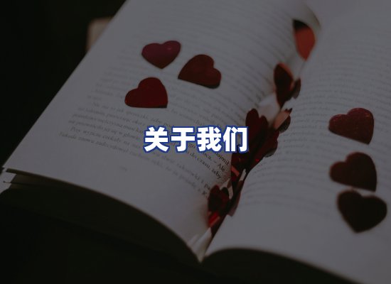专业团队